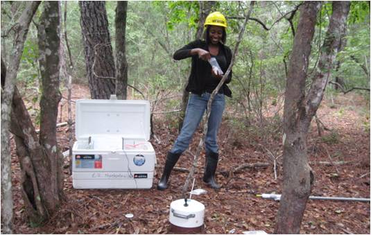 A student conducts research in a forest for the CFEA